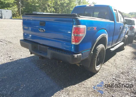 2010 Ford F-150 Stx/Xl z USA, uszkodzony, nr VIN 1FTEX1EW6AFA69231